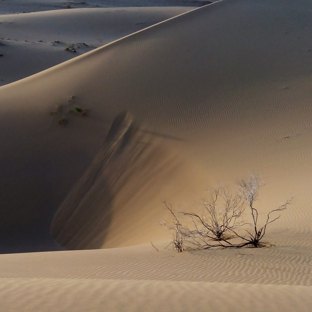 2016-07-21-dunes-del-desert-de-maranjab-2