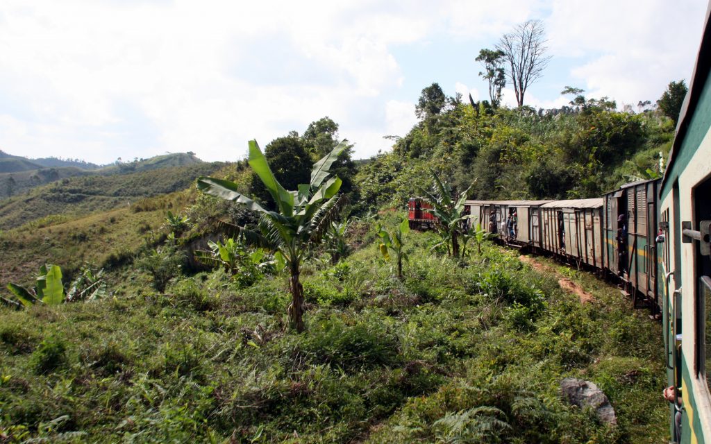 tren de la selva