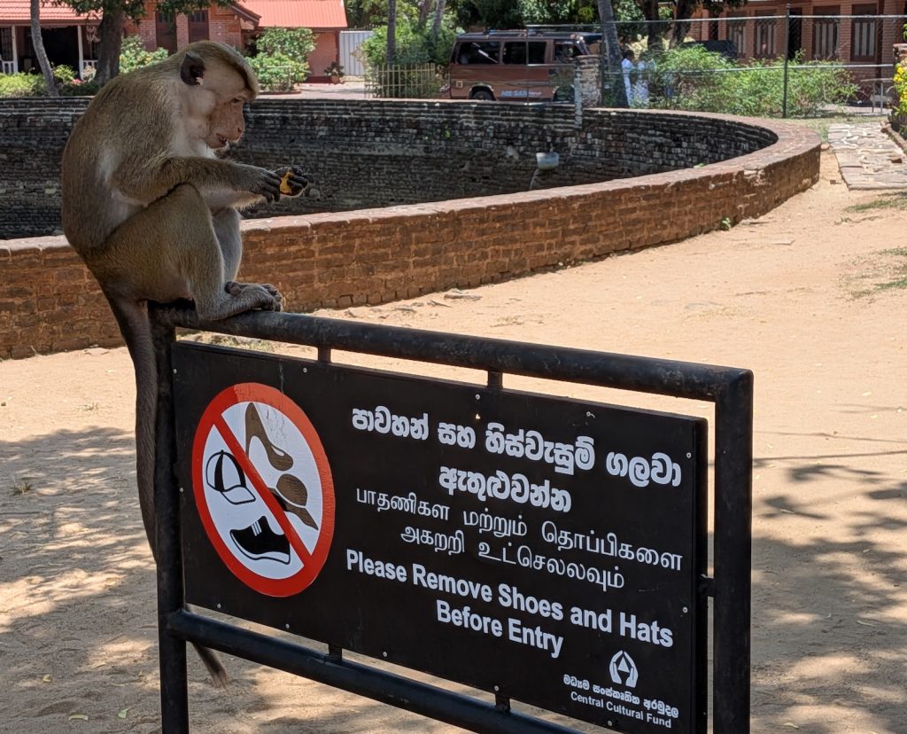 Mono Sri Lanka