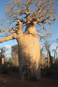 2017-07-28 (david i Eli a baobab gegant)