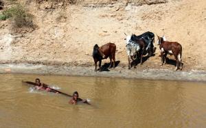 2017-08-03 (nois jugant al riu Tsiribihina)