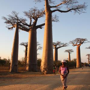 2017-08-05 (dona a l'avinguda dels baobabs)